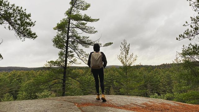 .
Algonquin park: Lake of two rivers!!
It’s a c...