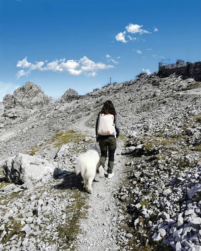 ⛰️

.
.
.
.
.
.
.
.
.
#ichliebediesenrucksack #unbezahltewerbung #nordacesiena #nordace #austria #mountains  #september #sunshine #ausflug  #trip #hiking #adventure #love #summer #autumn #goodday #funny #smile #cute #samoyed #samojede #samoyedsofinstagram  #dog  #dogmom #dogsofinstagram #petsofinstagram #samoyedlove  #puppiesofinstagram #watchmegrow #this_is_nanuk